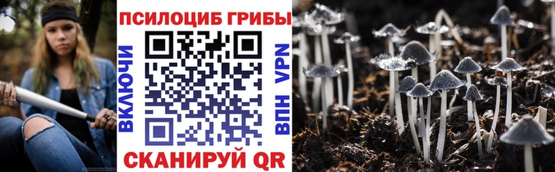 Галлюциногенные грибы Magic Shrooms  магазин  наркотиков  Электроугли 